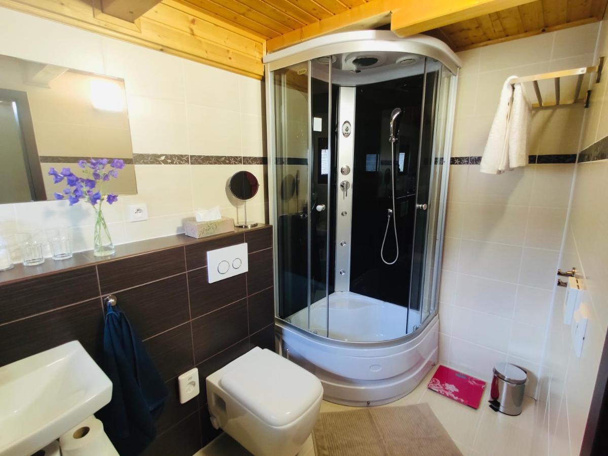 Grand Spa Holiday Home Sklené Teplice エクステリア 写真