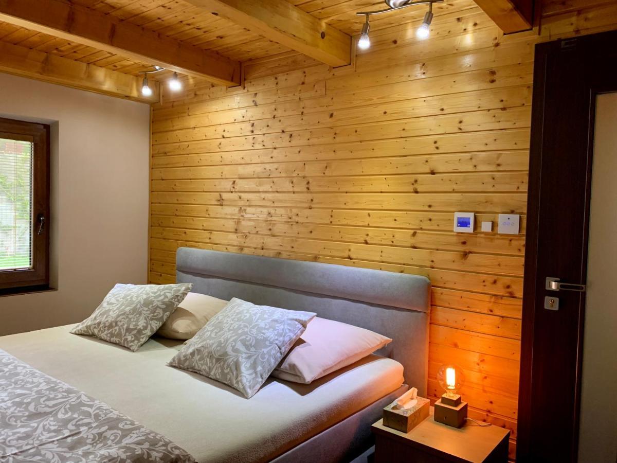 Grand Spa Holiday Home Sklené Teplice エクステリア 写真
