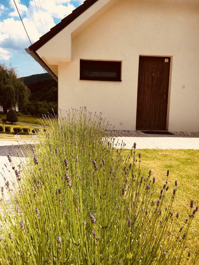 Grand Spa Holiday Home Sklené Teplice エクステリア 写真