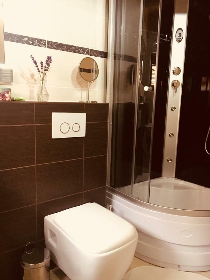 Grand Spa Holiday Home Sklené Teplice エクステリア 写真